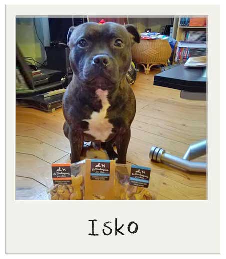 Isko aime les Récompenses Poulet Risotto pour chiens